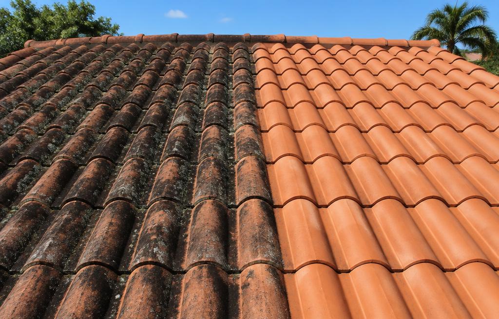 Roof Soft Washing